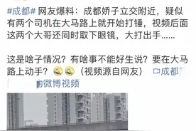 两男子成都三环路上停车互殴 警方已介入调查图片