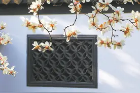 紫玉兰名为辛夷，其实是份“心意”！一文了解玉兰文化图片