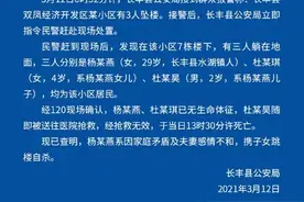 合肥母亲携子女坠亡：全职带娃多年被夫家指责 事发前月刚工作提离婚图片