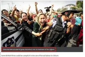 记者网友都开锤！BBC果然“千锤百炼”图片