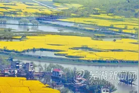 芜湖“最全春季赏花地图”来了图片