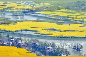 芜湖“最全春季赏花地图”来了图片