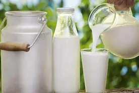 不是所有奶都是纯牛奶，快来了解一下这些牛奶的常识图片