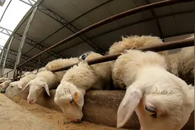 马永泽：脱贫的今天来之不易视频封面