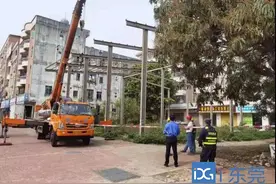 石排今年以来拆除5宗违法建筑图片