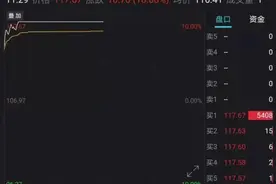 果然涨停！这只A股火了，11亿定增获追捧，高盛、大摩、高毅等大佬全出手了图片