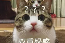 男子报警称：女友被人强行带走！警察赶到后，却把报警男子抓了图片
