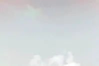 扩散|不是所有的大型犬都是禁养犬，衡阳公安部门公布42种禁养犬“画像”图片