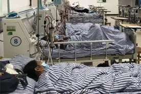 5人食用野生菌中毒送医！中毒者事后回忆：吃起来又脆又甜图片