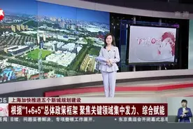 上海加快推进五个新城规划建设：根据“1+6+5”总体政策框架  聚焦关键领域集中发力、综合赋能视频封面