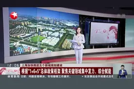 上海加快推进五个新城规划建设：根据“1+6+5”总体政策框架  聚焦关键领域集中发力、综合赋能视频封面