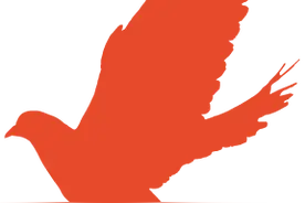 学党史 悟思想|党史1000问——为什么说工农革命军是在1928年5月才定名为“红军”并逐步形成全国统一序列的？图片