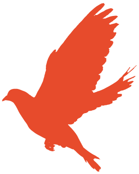 淮海战役纪念馆观后感怎么写（建党100周年优秀征文淮海战役碾庄圩战斗纪念馆观后感）