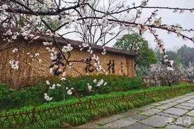 春游江淮请您来丨池州杏花村：春色秀美满村落 花漾田园引客来图片