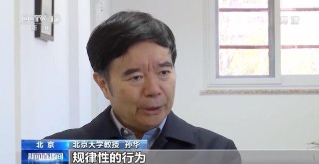 三星堆遗址曾是古代国家都城？一文带你了解这座神秘古城