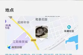 传张照片会泄露行踪？别慌！这样做可避免图片