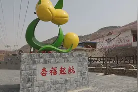 泰安新泰市：油杏花开惹人醉图片