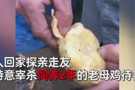 越南一男子抓来饲养2年老母鸡招待亲戚，宰杀后腹中一物惊呆众人图片