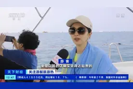 100元得游艇出海的快乐！海南三亚游艇出海价格大降 掀起“游艇出游热”图片