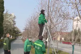 潍坊青州市全面加强春季绿化养护管理视频封面