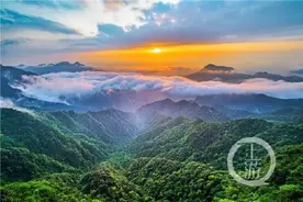 本周末金佛山景区对所有游客免门票图片