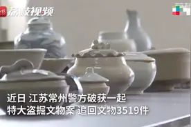 江苏一工地发现古墓群未上报，大量文物遭盗卖！已追回3519件图片