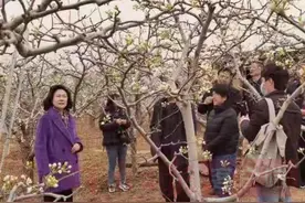 老丁的笑声图片