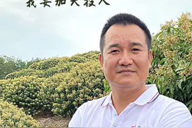 乡村振兴中的高州新农人｜葛志勇回乡创业：“平山荔枝不愁卖，我要加大投入”图片