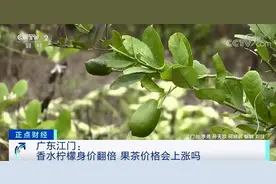 柠檬身价暴涨！供不应求！你爱喝的果茶，会涨价吗？图片