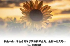 3月19世界睡眠日丨早睡早起身体好，真的靠谱吗？图片