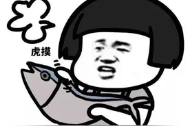 清华摸鱼课程火了，间歇性摸鱼有意思图片