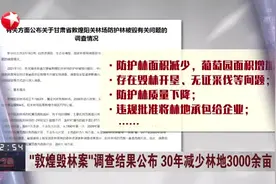 “敦煌毁林案”调查结果公布  30年减少林地3000余亩视频封面