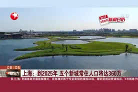 上海：到2025年  五个新城常住人口将达360万视频封面