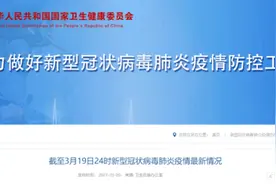 截至3月19日24时新型冠状病毒肺炎疫情最新情况图片