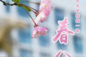 春暖花已开，芳菲入梦来图片