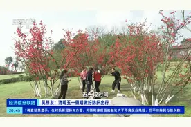 清明、五一假期将至！可以放心出游吗？吴尊友这样说→视频封面