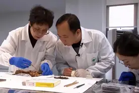 三星堆考古有重大发现图片