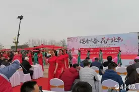 济南平阴北市村首届樱花节开幕图片