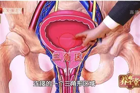 尿频、尿急可能是肿瘤在“敲门”！养成一个好习惯，助您远离膀胱癌图片