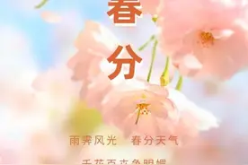 今日春分丨春风得意，万物可期，莫负好春光图片