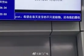 厦门树洞火了！你也有心事要和树洞说吗？「组图」图片