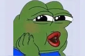 呱呱呱……没错！就是让你来看蛙的图片