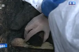 大型出土现场！三星堆文物提取要做哪些准备？是啥步骤？来看图片