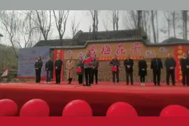 视频｜|五千亩杏梅花怒放九顶凤凰山！新泰·龙廷赏花季掌平洼杏梅花节开幕图片