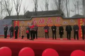 视频｜|五千亩杏梅花怒放九顶凤凰山！新泰·龙廷赏花季掌平洼杏梅花节开幕图片