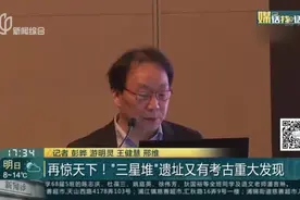 再惊天下！“三星堆”遗址又有考古重大发现视频封面