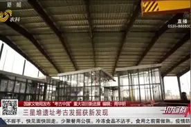 重磅！三星堆遗址考古发掘新发现6个祭祀坑，出土600余件高级文物视频封面