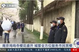 约起！南京鸡鸣寺樱花盛开，城管全方位服务市民赏樱视频封面