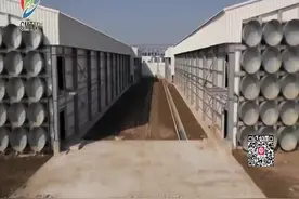 300万羽正大蛋鸡场已近完工 开始设备调试工作视频封面