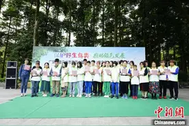 广东野外放归“省鸟”白鹇等近百只野生鸟类图片
